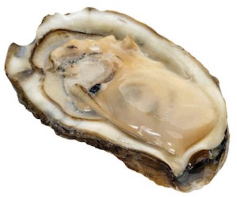 Raw Oysters(12)